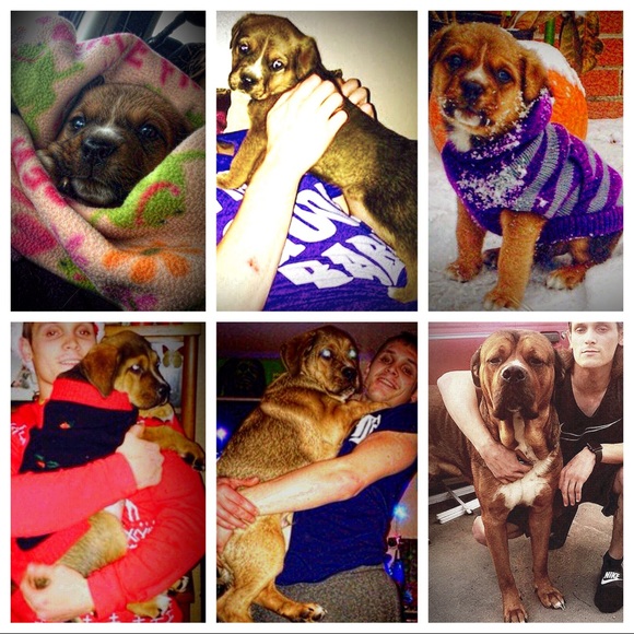 Meet your Posher, Andrew - Picture 1 of 1